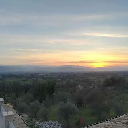 Tenuta Terra E Sole *